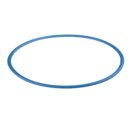 O-Ring em Silicone para filtros Big Blue