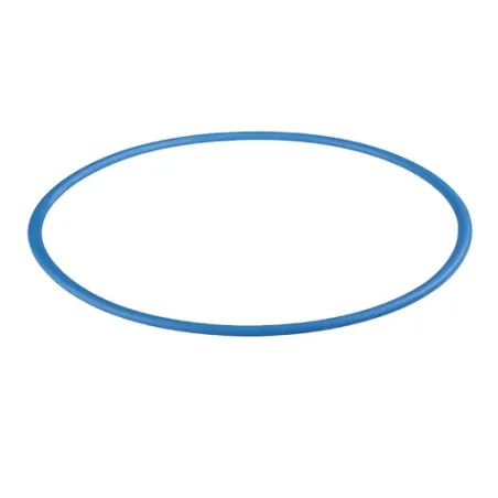 O-Ring em Silicone para filtros Big Blue